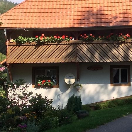 Ferienwohnung Zweilinden Steinen  Εξωτερικό φωτογραφία